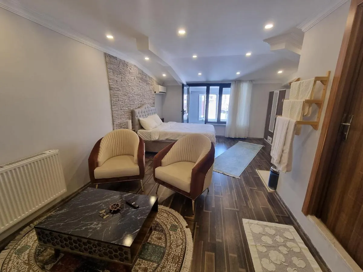 اسطنبول Ata Suit Hotel 0*,